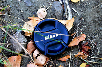 Close-up high angle view of leaves