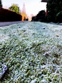 Surface level of snow covered field