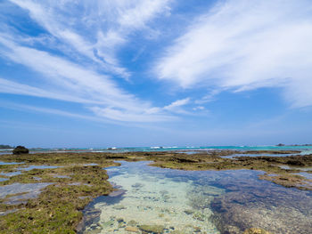 Scenic view of beach against sky