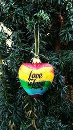 Close-up of heart shape hanging on tree