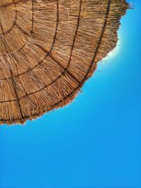 Close-up of tree against clear blue sky