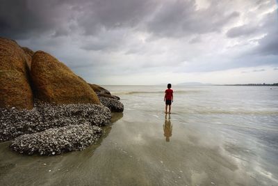 Rear view of man standing on beach against sky