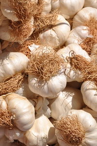 Garlic bulb on food market