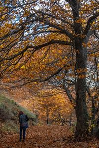 Rear view of man walking in forest during autumn