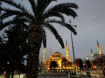 Palm trees outside temple against building