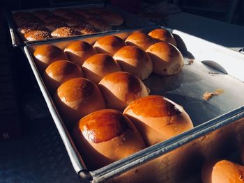 Close-up of dessert in plate