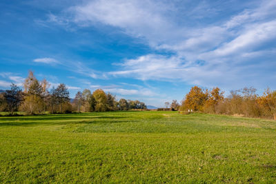 Scenic view of field against sky