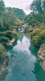 High angle view of river amidst trees against sky