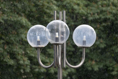 Close-up of street light against trees