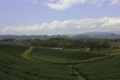 Scenic view of farm against sky 