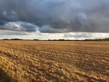 Scenic view of agricultural field against sky