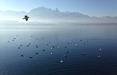 Scenic view of lake and mountains
