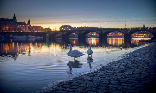 View of bridge over river in city