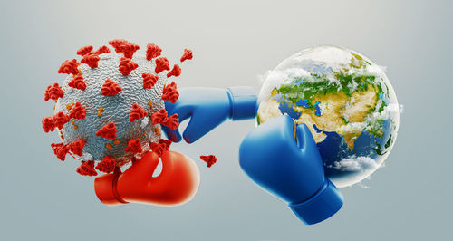 Close-up of flowers against white background