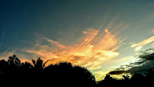 Low angle view of silhouette trees against sky