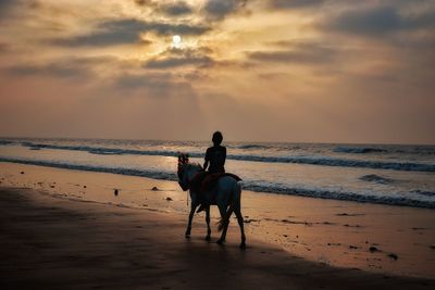 Man riding horse on beach against sky during sunset