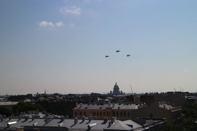 Birds flying over buildings in city