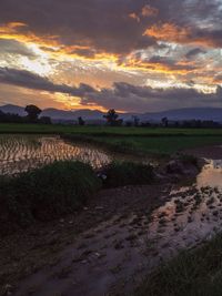 Scenic view of field against cloudy sky