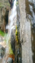 Close-up of waterfall in forest
