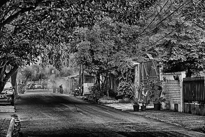 Road passing through forest