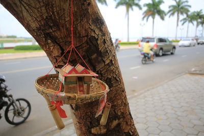 Decoration hanging from tree trunk on sidewalk