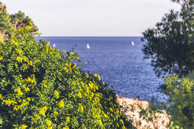 Scenic view of sea against sky