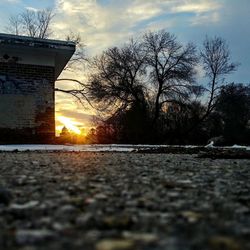Surface level of bare trees against sky during sunset