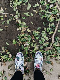 Low section of person standing on leaves