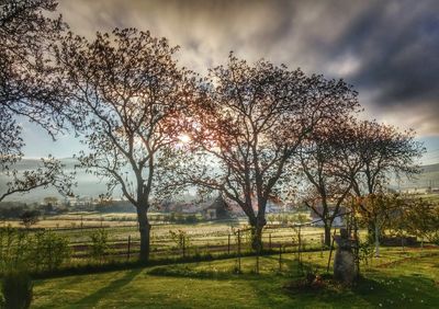 Scenic view of grassy field against cloudy sky