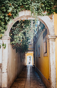 Narrow alley amidst buildings