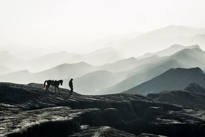 Silhouette man with horse walking on mountain against sky