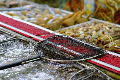 Close-up of fish for sale at market stall