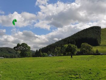 Trees on field against sky