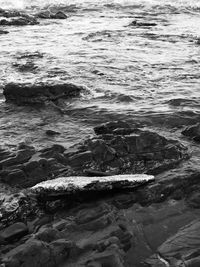 Rocks in sea