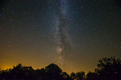 Low angle view of trees against star field at night