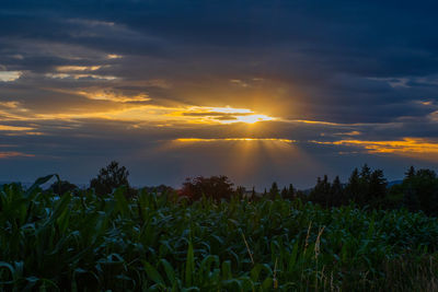 Scenic view of field against sky during sunset