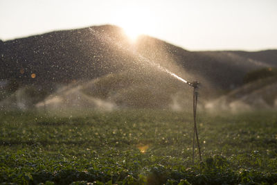 Water spraying from sprinkler on grass against sky