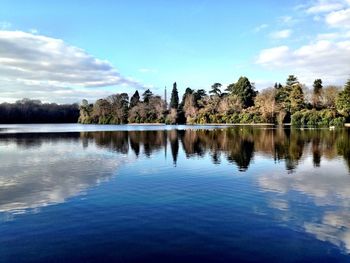 Reflection of trees in water