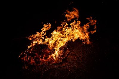 Close-up of fire in the dark