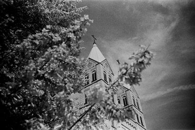 Low angle view of plants by building against sky