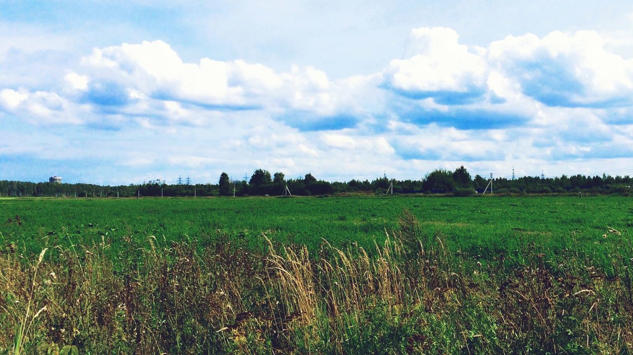 field, sky, grass, landscape, tranquil scene, tranquility, cloud - sky, scenics, beauty in nature, grassy, growth, nature, rural scene, cloud, green color, agriculture, cloudy, farm, horizon over land, idyllic