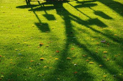 High angle view of shadow on grass in park