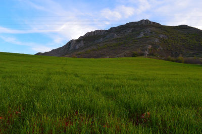 Scenic view of landscape against sky