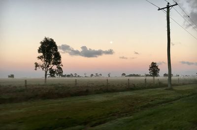 Trees on landscape against sky at sunset