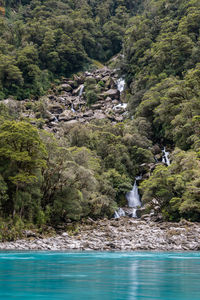 Scenic view of waterfall in forest