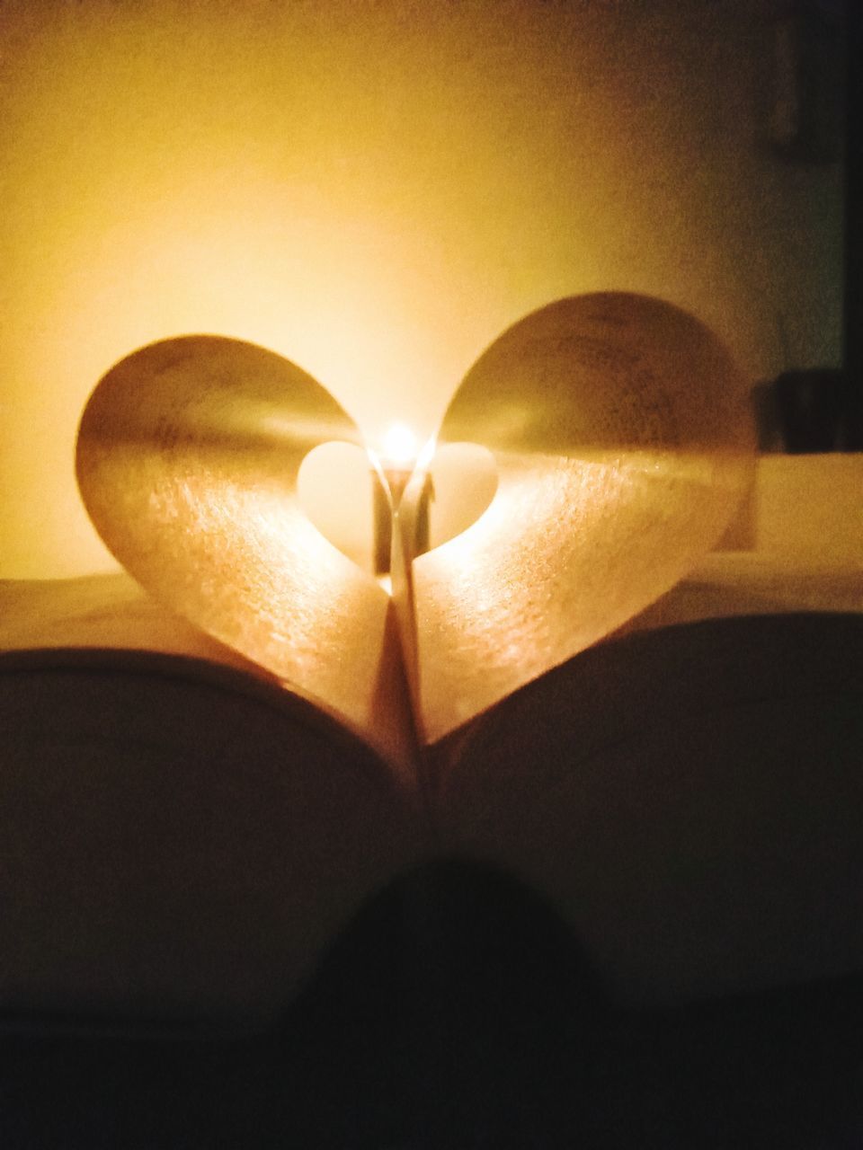 CLOSE-UP OF HEART SHAPE ON BOOK AT ILLUMINATED ROOM