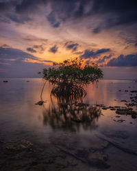 Scenic view of sea against sky at sunset