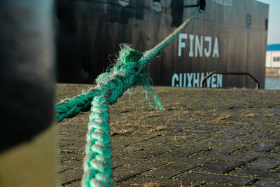 Close-up of rope tied to wooden post