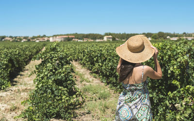 Rear view of woman standing at vineyard