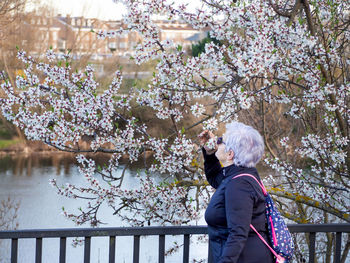 Side view of woman holding flowering tree branches on footbridge